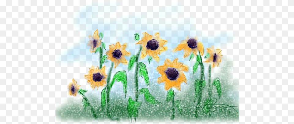 Sunflowers Kids T Shirt Sunflower, Flower, Plant, Art, Pattern Png