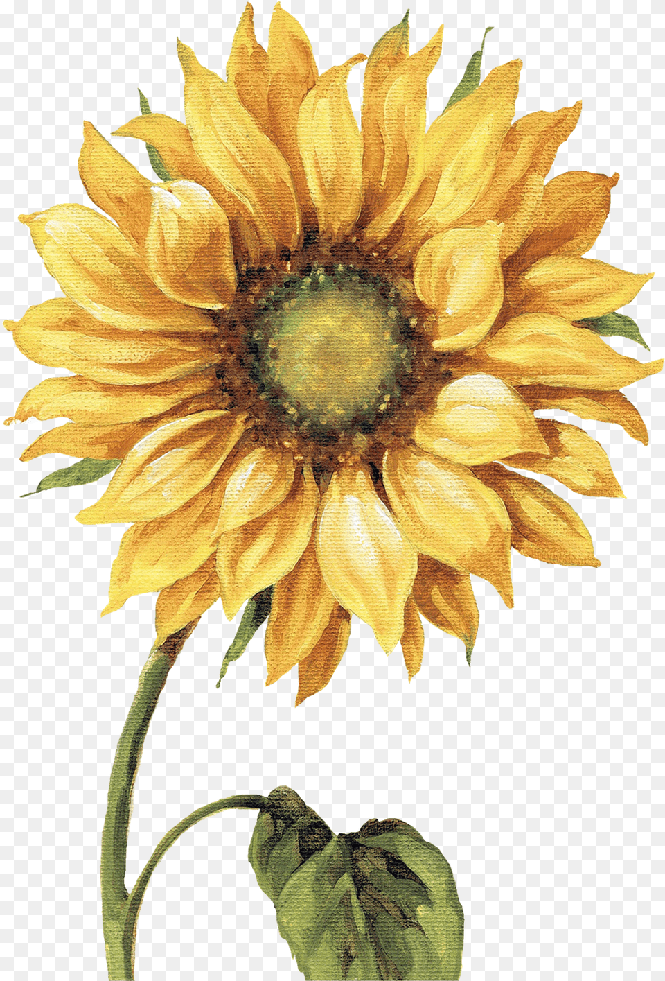 Sunflowers Painted Sunflower Painting, Flower, Plant Free Png Download