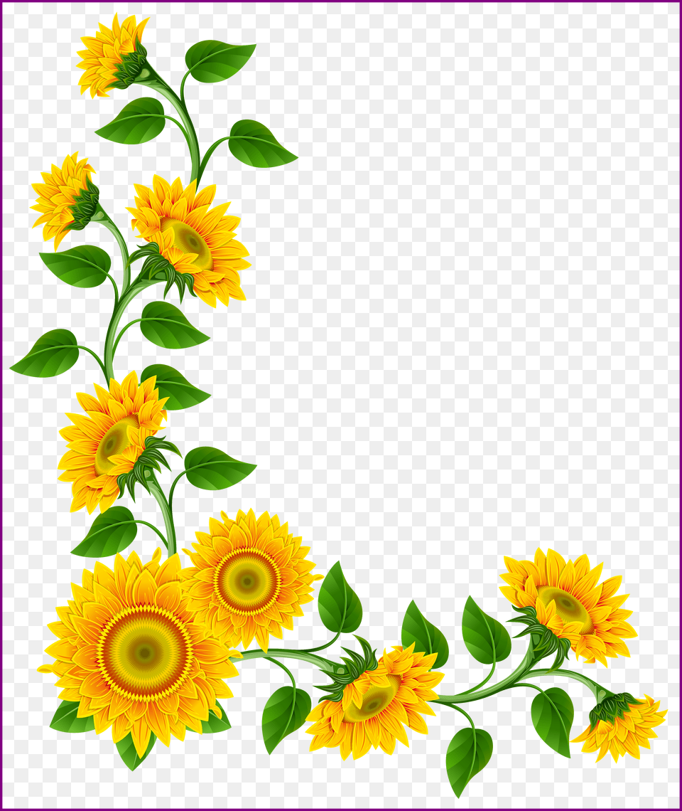 Sunflowers Simple Watercolor Sunflowers Clipart Free Png