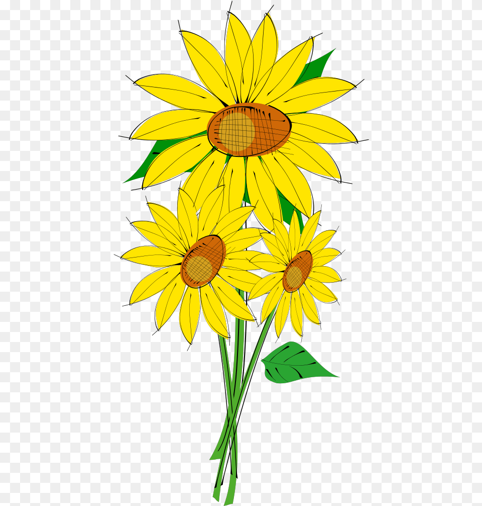 Sunflowers Svg Clip Art For Web Download Clip Art Sunflower Clip Art, Daisy, Flower, Plant Free Transparent Png