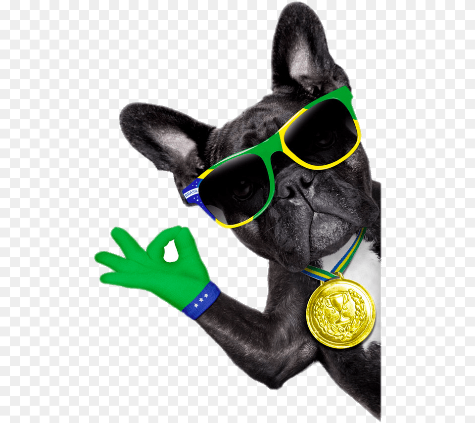 Sunglasses Bulldog Photography Dog French Royalty Brazil Soccer Dog, Glove, Clothing, Animal, Pet Free Png Download