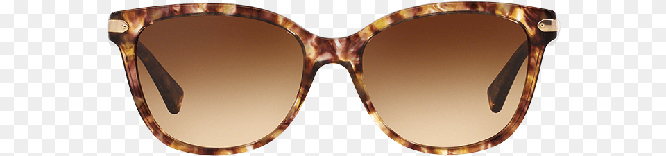 Sunglasses For Women Image Lenscrafters, Accessories, Glasses Free Transparent Png