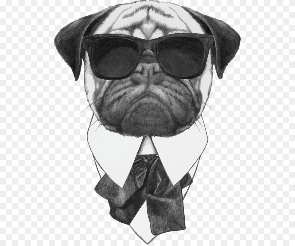 Sunglasses Photography Pug Dog Illustration Stock Cool Funny Dog Art, Accessories, Tie, Formal Wear, Adult Png
