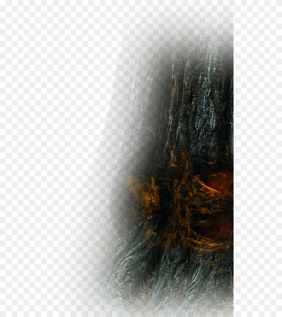 Sunlight, Plant, Tree, Tree Trunk, Fire Png Image