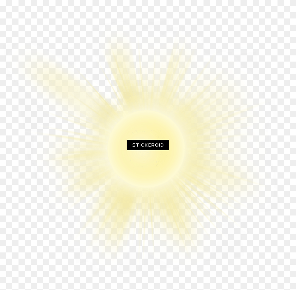 Sunlight Download Realistic Sun Rays, Flower, Plant Free Transparent Png