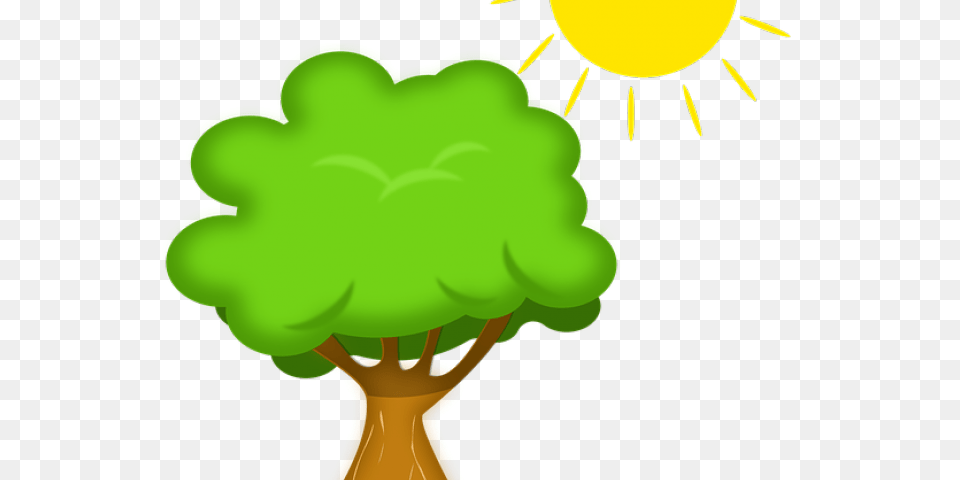 Sunny Clipart Sun Bathing, Green, Flower, Plant, Potted Plant Png