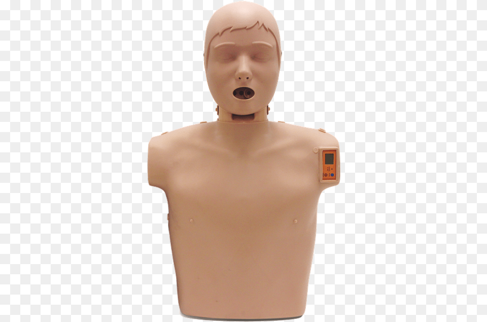 Sunny Cpr Manikin Flashpoint Medical System Limited, Person, Body Part, Torso, Face Free Png