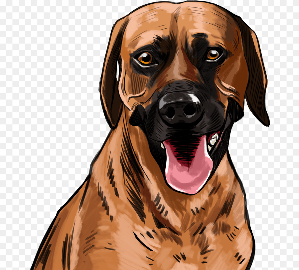 Sunny Dog Yawns, Adult, Person, Woman, Female Free Png