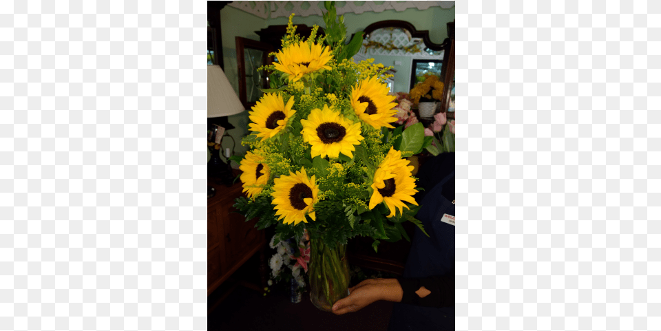 Sunny Sunflowers Dibella Flowers Amp Gifts, Flower, Flower Arrangement, Flower Bouquet, Plant Free Png Download