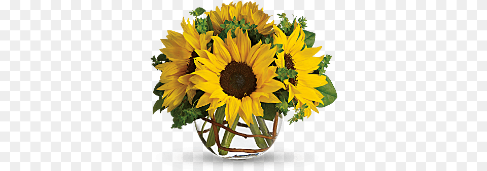 Sunny Sunflowers U2014 Blessings Floral Design Transparent Background, Flower, Flower Arrangement, Plant, Sunflower Free Png Download