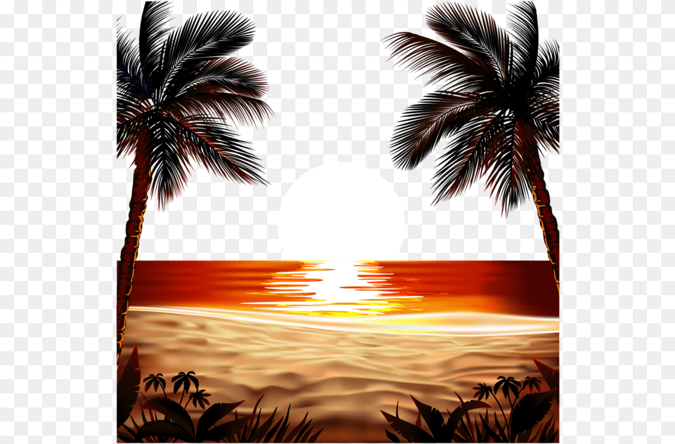 Sunrise Transparent Vector Sun Rise, Sunset, Nature, Outdoors, Tropical Free Png Download