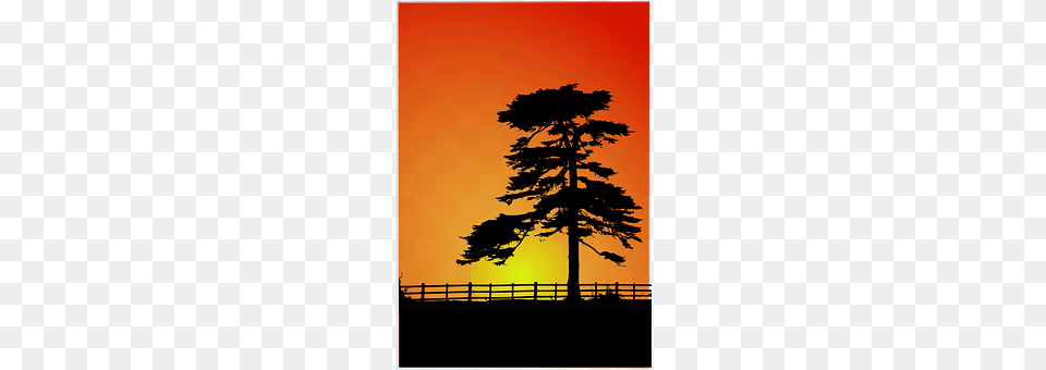 Sunset Tree, Sky, Silhouette, Plant Free Transparent Png