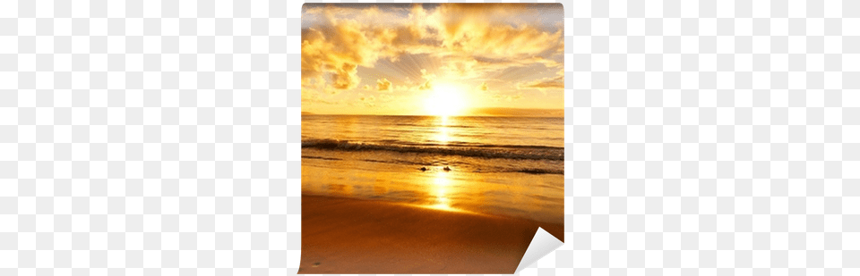 Sunset, Beach, Sunrise, Sunlight, Sky Free Png Download