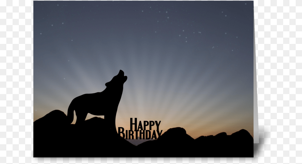 Sunset And Wolf Silhouette, Night, Nature, Outdoors, Starry Sky Free Transparent Png