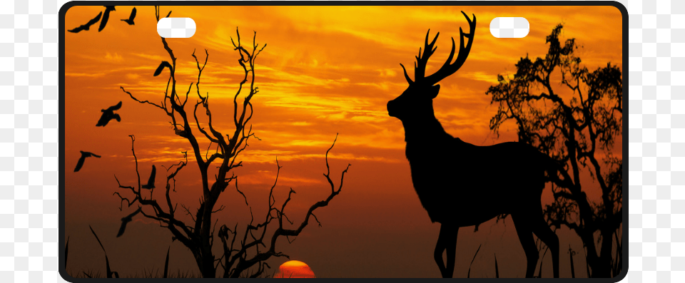 Sunset Deer Silhouette License Plate Elk, Animal, Sky, Outdoors, Nature Free Png Download