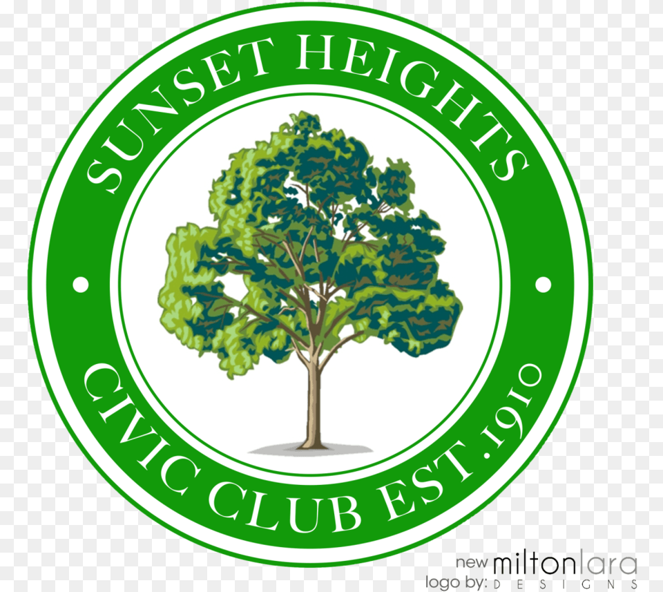Sunset Heights Family Tree, Green, Sycamore, Plant, Oak Png Image