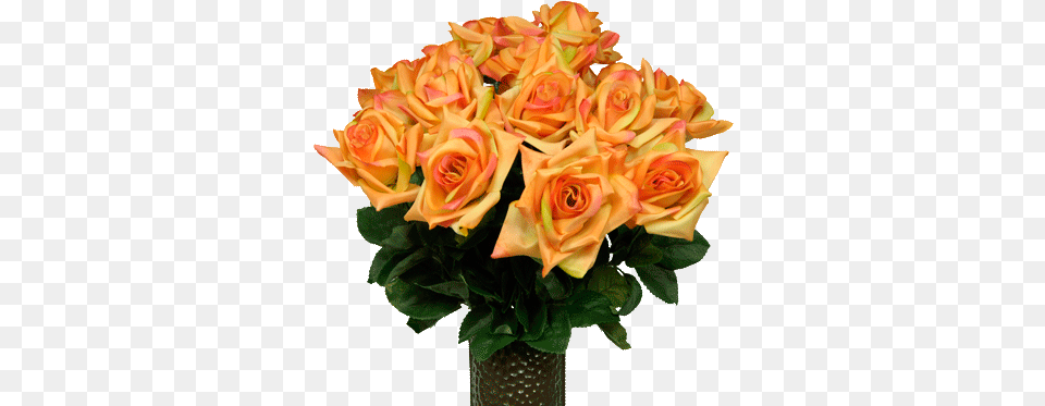 Sunset Orange Diamond Roses Md1552 Garden Roses, Flower, Flower Arrangement, Flower Bouquet, Plant Free Png Download