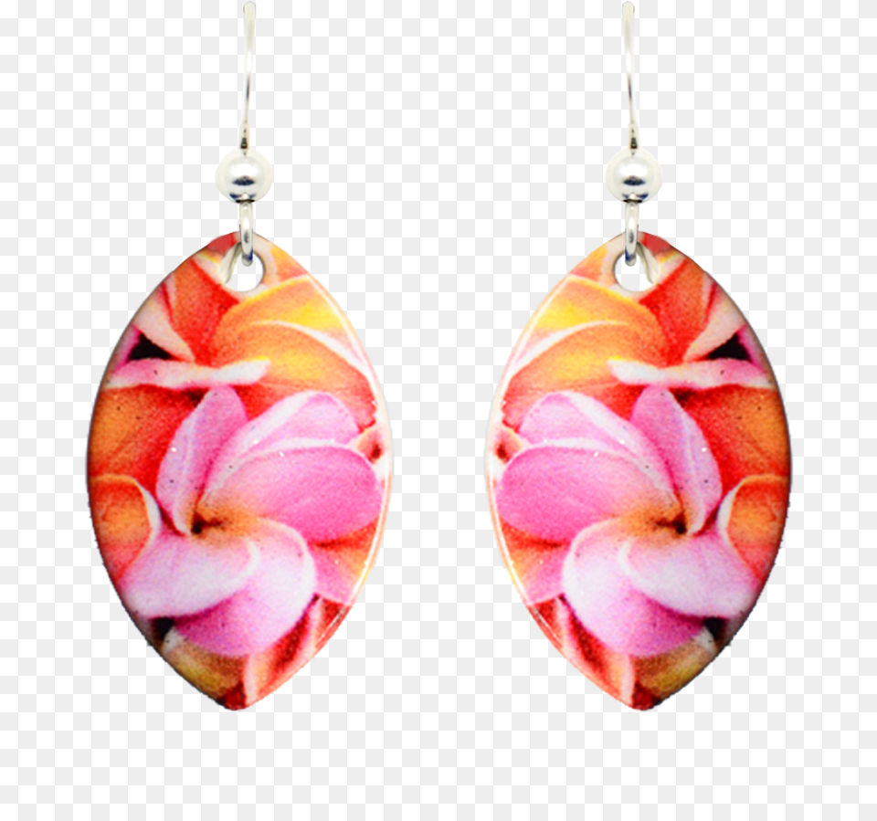 Sunset Plumeria Earrings, Accessories, Earring, Jewelry Free Transparent Png