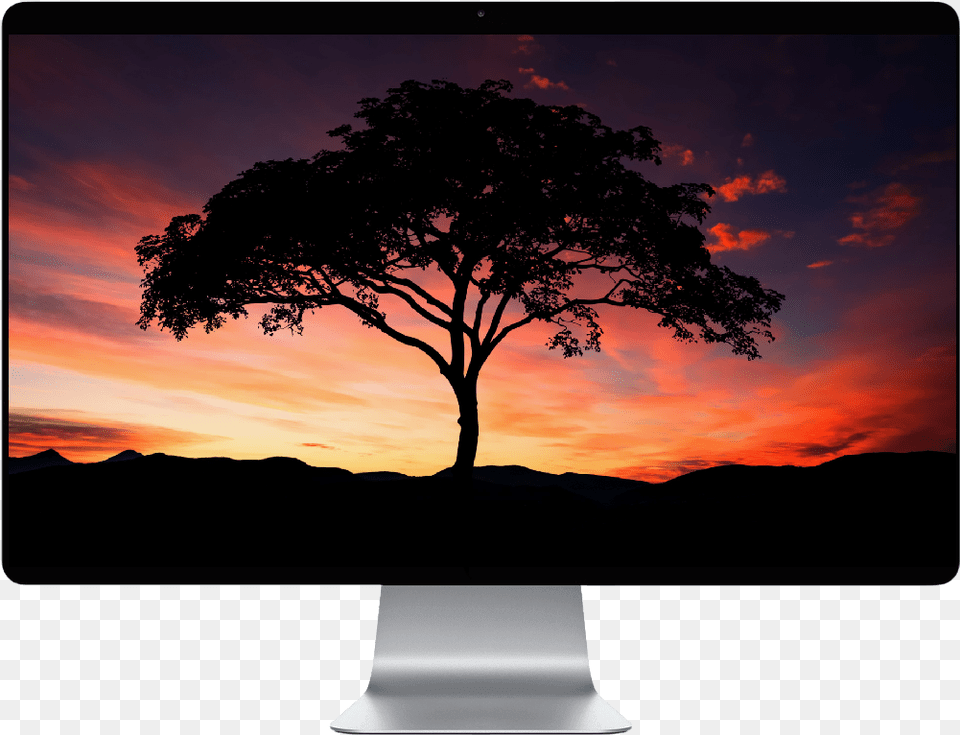 Sunset Sky Silhouette, Computer Hardware, Screen, Plant, Outdoors Png Image