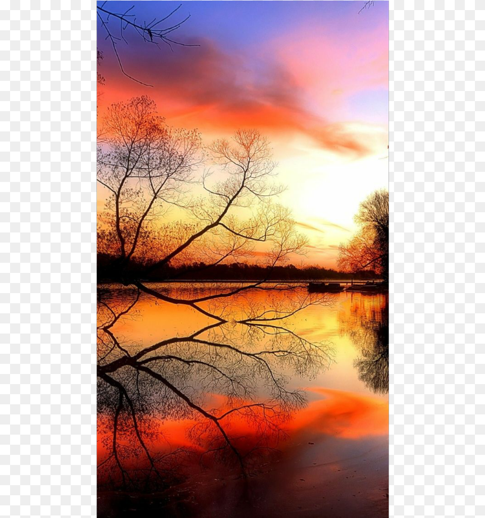 Sunset Trees Sky Clouds Nature Waterreflection Water Chois Custom Wall Murals Wallpaper Desinger Home Art, Outdoors, Scenery, Sunrise, Landscape Free Png