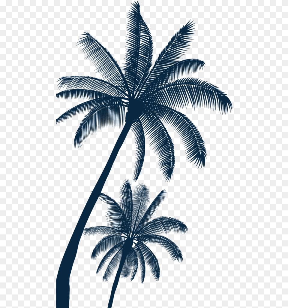 Sunset Vector Art Beach, Palm Tree, Plant, Tree, Nature Free Transparent Png