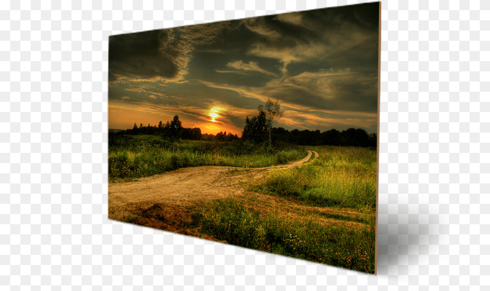 Sunsets Forest Evening Landscape Road Nature Tree Beautiful Country Sunset, Sunlight, Sky, Outdoors, Grassland Png