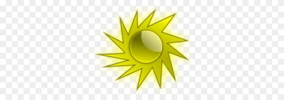 Sunshine Plant, Daisy, Flower, Gold Free Png