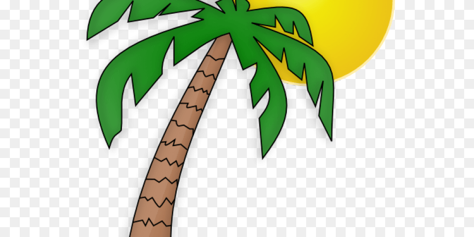 Sunshine Clipart, Palm Tree, Plant, Tree, Person Png