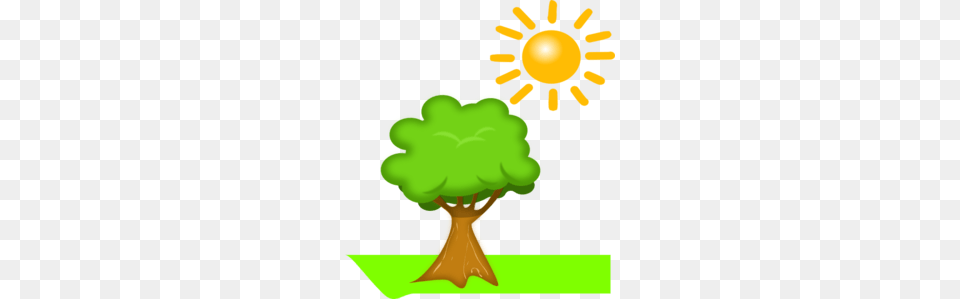 Sunshine Clipart Tree, Green, Art, Graphics, Plant Free Png