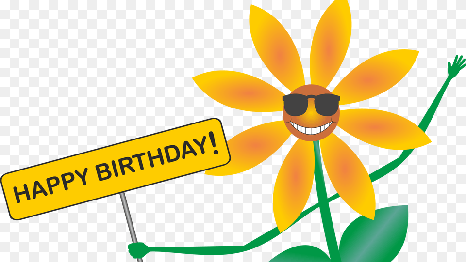 Sunshine Happy Birthday Clipart, Daisy, Flower, Petal, Plant Free Png