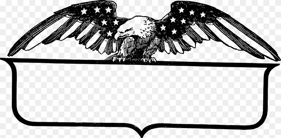 Super American Frame Eagle Frames, Gray Png Image