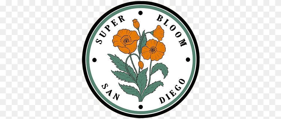 Super Bloom Ultimate San Diego Flower, Analog Clock, Clock Free Transparent Png