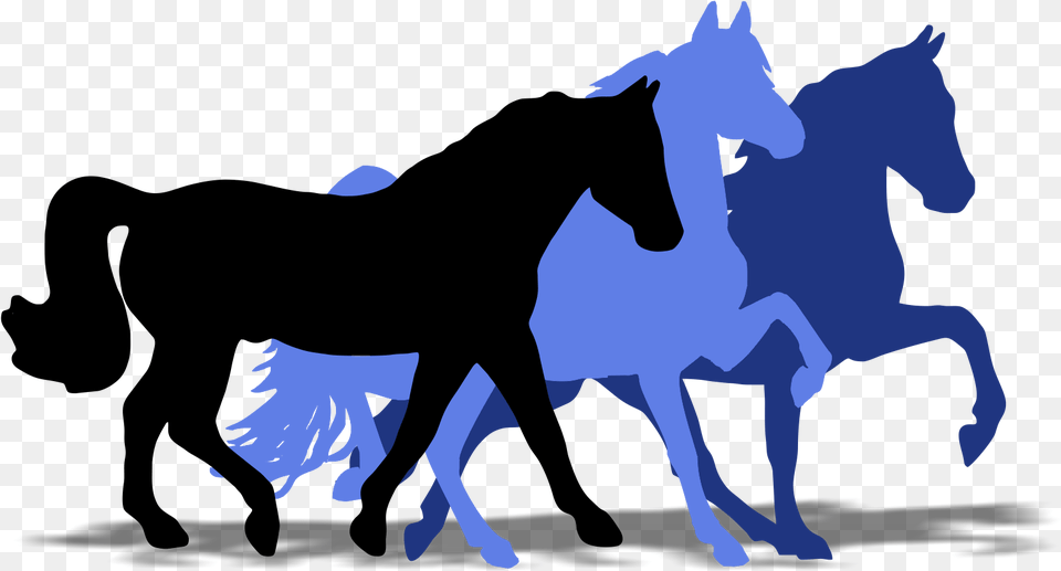 Super Horse Usa Horse, Animal, Mammal, Adult, Male Free Png Download