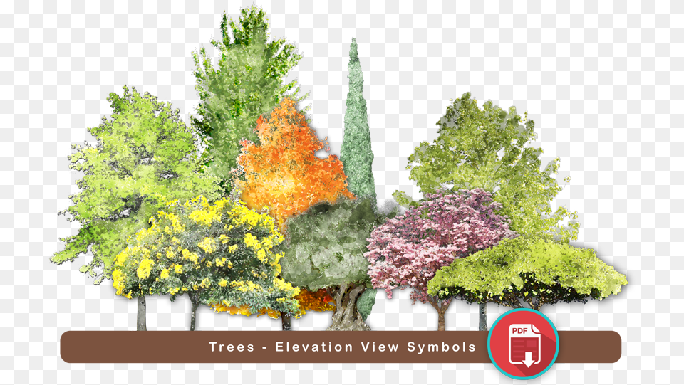 Super Landscaping Plan Software Red Pine, Woodland, Vegetation, Tree, Plant Free Png