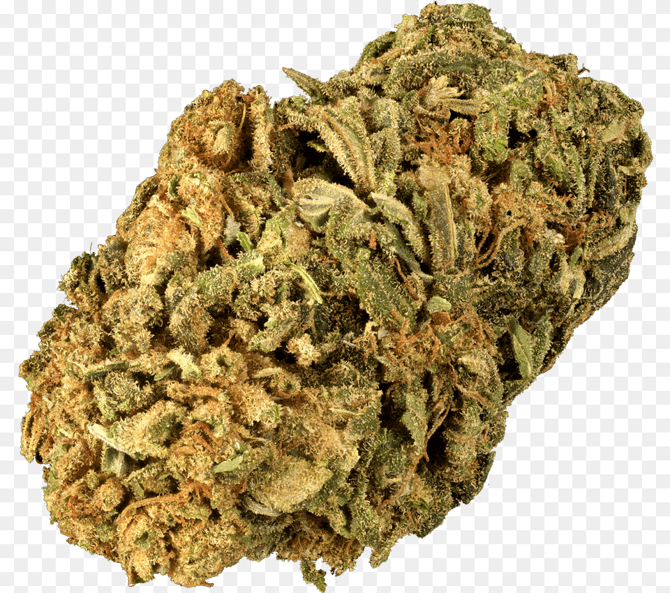 Super Lemon Haze Cbd Hemp Flower Lemon Haze, Plant, Weed Free Png Download