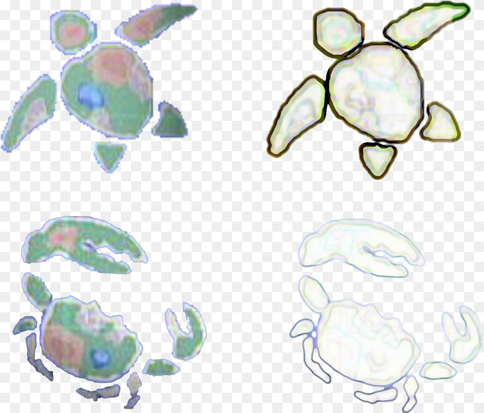 Super Mario Sunshine Crab Island, Animal, Reptile, Sea Life, Tortoise Png Image