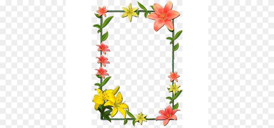 Super Molduras Tiger Lily Hutchence 2011, Flower, Plant, Flower Arrangement, Petal Free Png Download