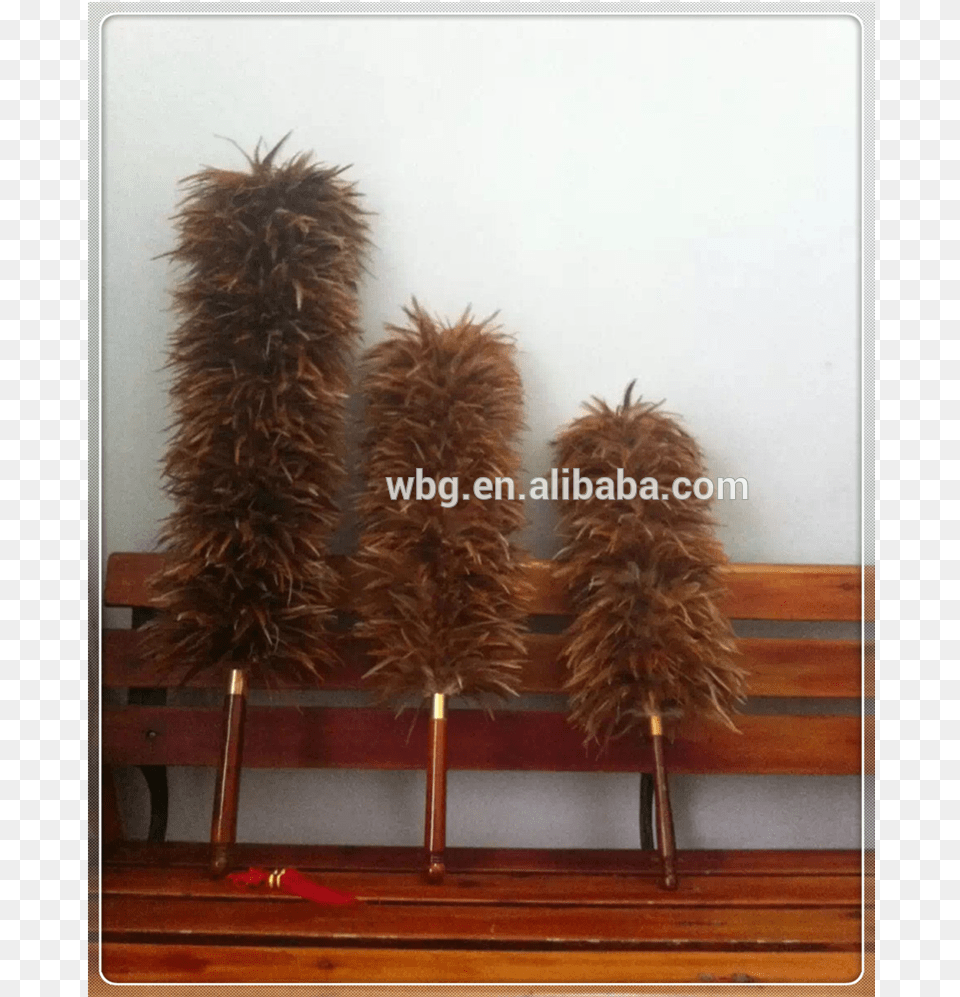 Super Soft Chicken Feather Duster Feather Duster, Accessories, Person, Feather Boa, Wood Png