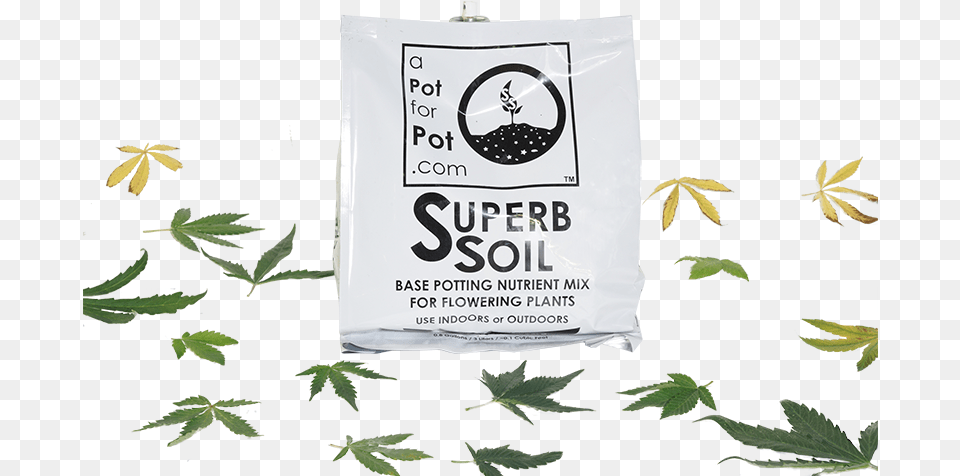 Superb Soil With Leaves Cannabis, Leaf, Plant, Hemp Free Png