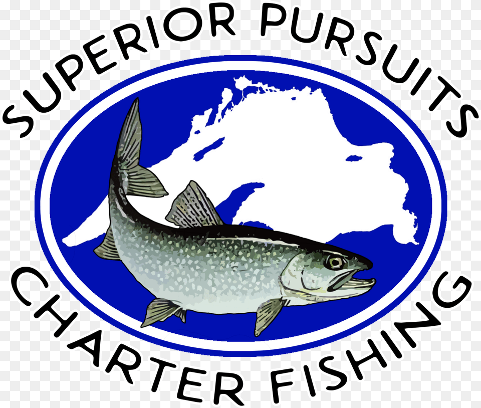 Superior Pursuits Trout, Animal, Sea Life, Fish Png Image
