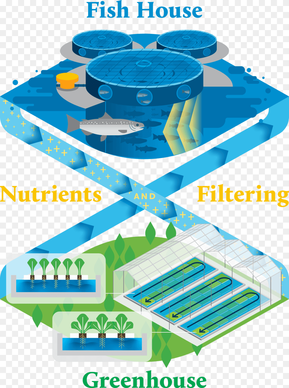 Superiorfresh Aquaponicsinfographic Simplified Vert Soccer Specific Stadium, Advertisement, Poster, Pool, Water Free Png Download