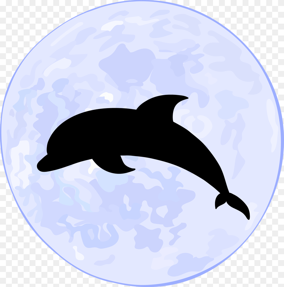 Supermoon Euclidean Vector Oceanic Dolphin Illustration Euclidean Vector, Animal, Mammal, Sea Life Free Png