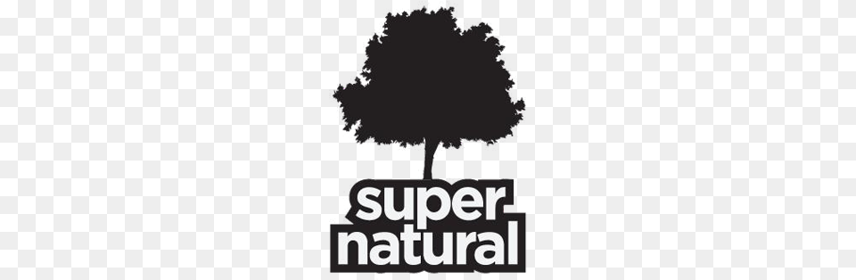 Supernatural Hans Ulrik Tribal Dance Cd, Plant, Tree, Advertisement, Sticker Free Png Download