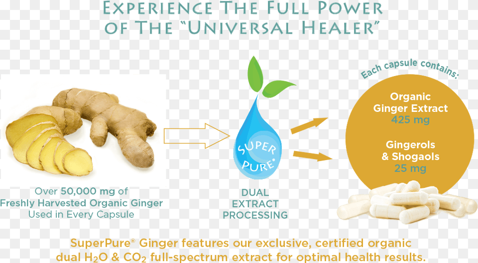 Superpure Ginger Extract Ginger, Herbal, Herbs, Plant, Food Png