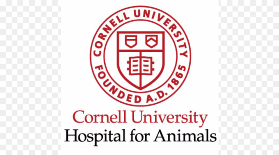 Support Areas Cornell University Logo Png Image
