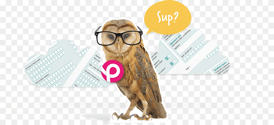 Support Bird Of Prey, Animal, Accessories, Glasses, Owl Free Png Download