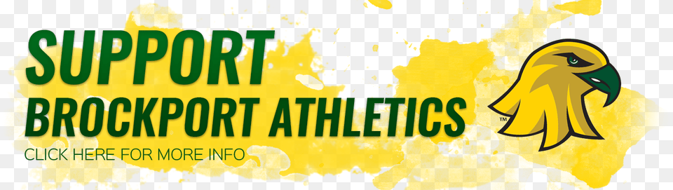 Support Brockport Athletics Wincraft Brockport Golden Eagles X Vertical, Logo, Animal, Bird, Plant Free Transparent Png