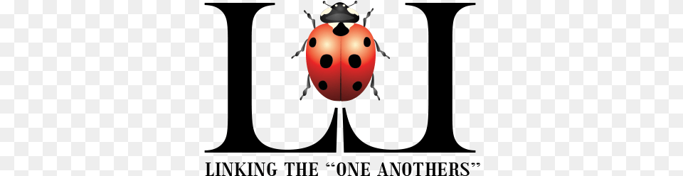Support Links Of Love Ladybird Beetle, Animal Free Png