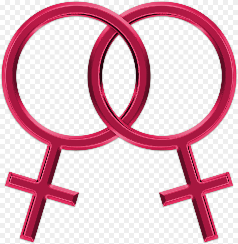 Support Of Same Sex Marriage Amp Adoption Lesbian Symbol Transparent Free Png Download