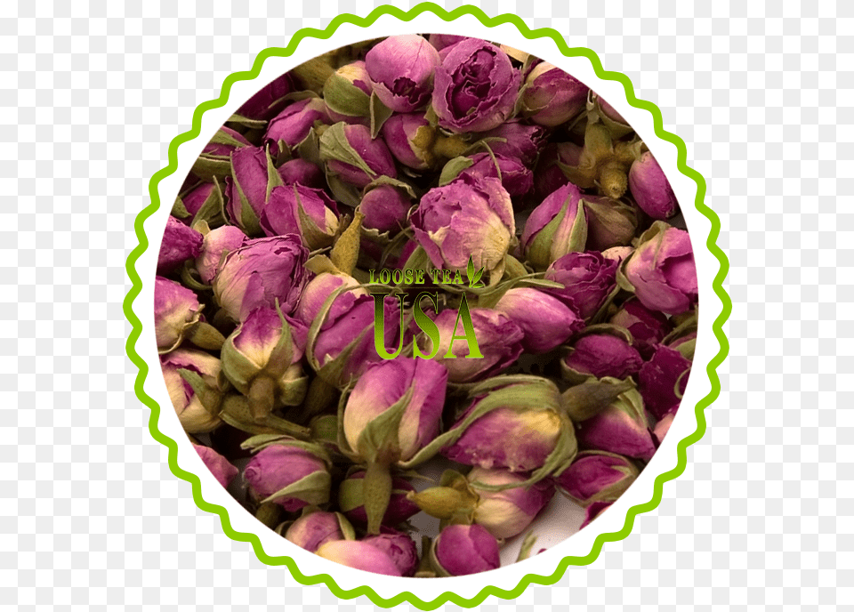 Supreme French Rose Tea Buds French Rose Bud Tea, Purple, Plant, Petal, Flower Arrangement Png